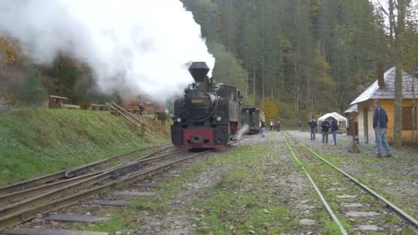 Tren Rodando Una Estación Tren — Vídeo de stock