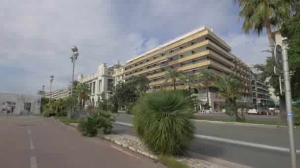 Arbres Sur Promenade Des Anglais Nice — Video