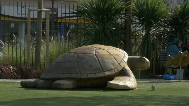 Turtle Sculpture Park — Vídeo de stock