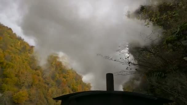 列車から蒸気が出てくる — ストック動画