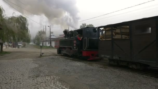 Locomotiva Vapor Preta Conceito Viagem — Vídeo de Stock