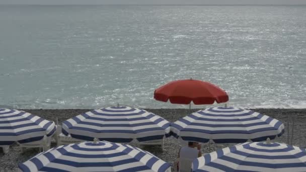 Sahildeki Plaj Şemsiyeleri — Stok video