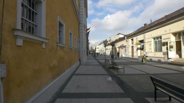 Οδός Corneliu Coposu Κοντά Στο Μουσείο Μνημείου Sighet — Αρχείο Βίντεο