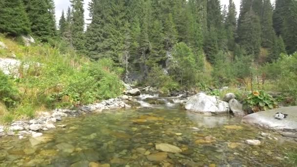 Rivier Een Berggebied — Stockvideo