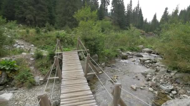 Puente Madera Sobre Río — Vídeos de Stock