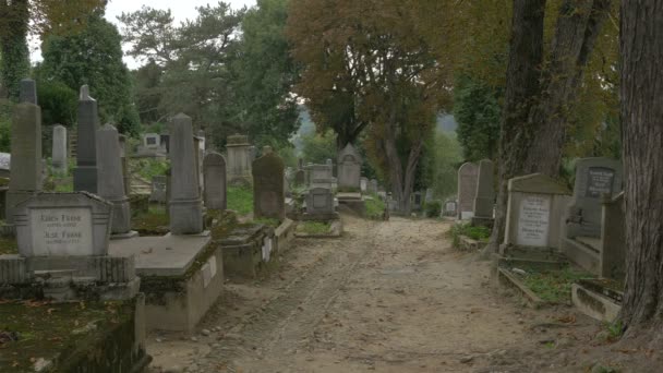 墓地の路地 — ストック動画