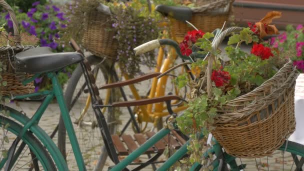 Bicicletas Cestas Flores — Vídeo de stock