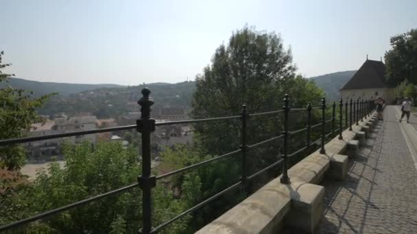 Sighisoara Vista Jardim Câmara Municipal — Vídeo de Stock