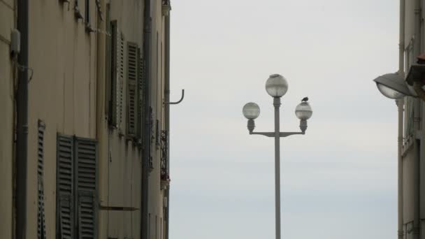 Een Straat Lamp Tussen Gebouwen — Stockvideo