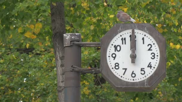 View Street Clock — Stock Video