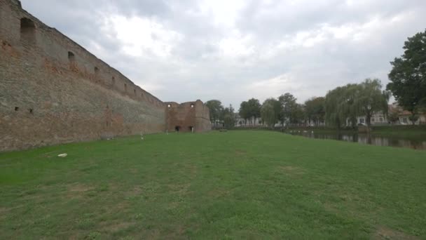 Grünes Gras Auf Der Festung Fagaras — Stockvideo