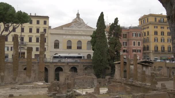 Largo Torre Αργεντινή Ερείπια Στη Ρώμη — Αρχείο Βίντεο