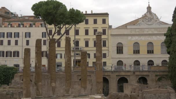 Fila Columnas Largo Torre Argentina Roma — Vídeo de stock
