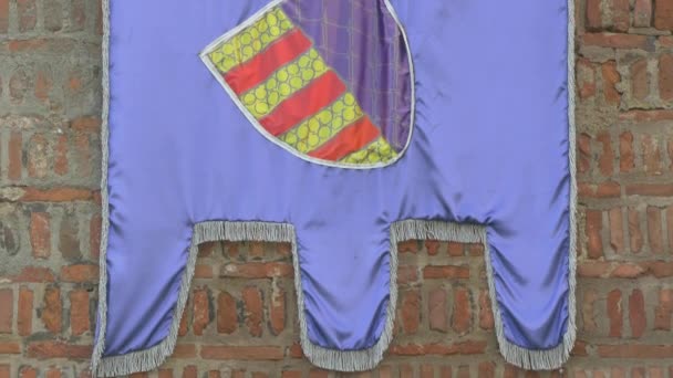 Bandeira Medieval Uma Parede Tijolo — Vídeo de Stock