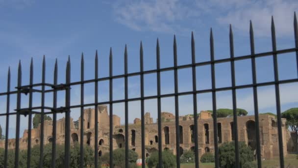 Ruinas Campitelli Roma — Vídeo de stock