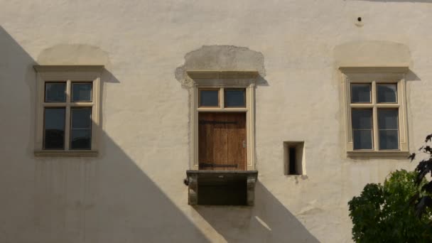 Janelas Uma Porta — Vídeo de Stock