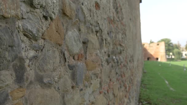 Zbliżenie Kamiennej Ściany — Wideo stockowe