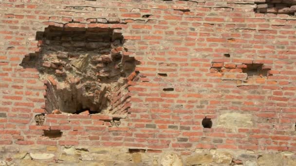 Zicht Beschadigde Bakstenen Muur — Stockvideo