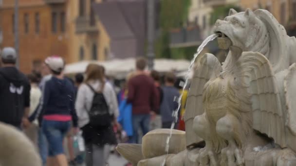 Moor Fountain Detail Piazza Navona — Stock Video