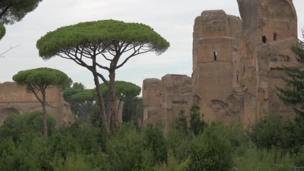 Bomen Baden Van Caracalla Ruïnes — Stockvideo