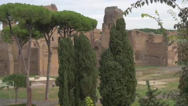 Zříceniny Stromy Římě Itálie — Stock video