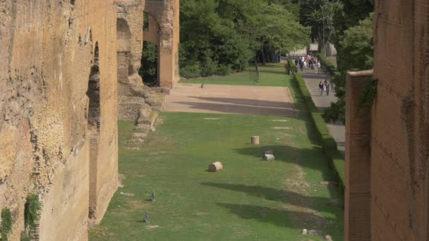 Terme Caracalla Rovine — Video Stock