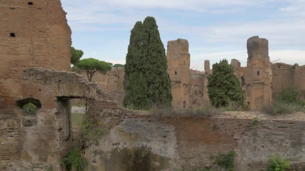 Copaci Băi Ruine Caracalla — Videoclip de stoc