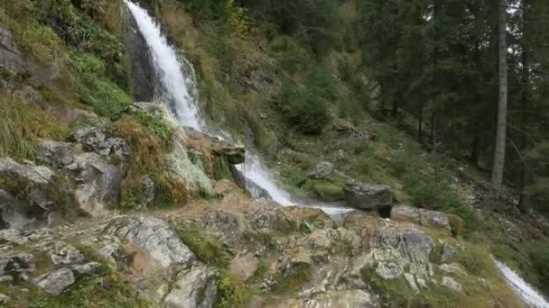 Caduta Dell Acqua Una Foresta — Video Stock