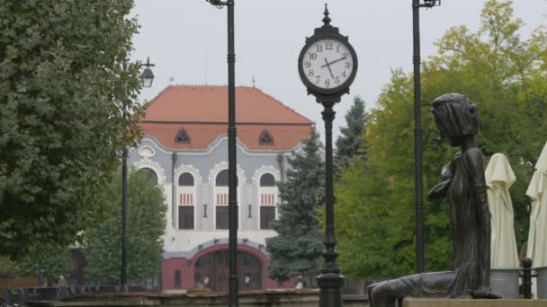 Reloj Calle Baia Mare — Vídeo de stock