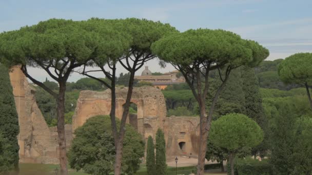 Terme Caracalla Rovine — Video Stock