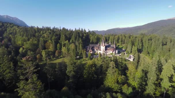 Vista Aérea Del Castillo Peles Rodeado Bosque Coníferas — Vídeos de Stock