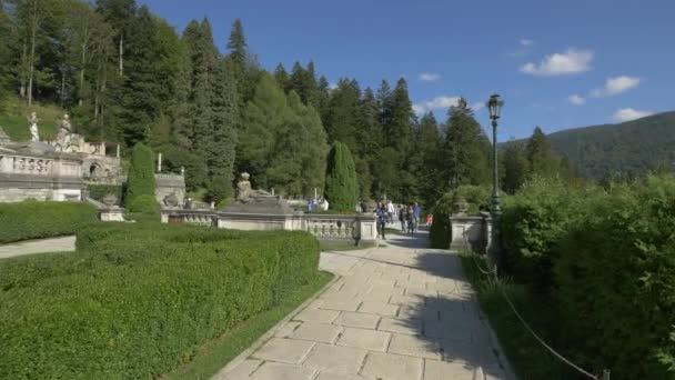 Egy Sikátorban Sétálni Peles Castle Udvarán — Stock videók