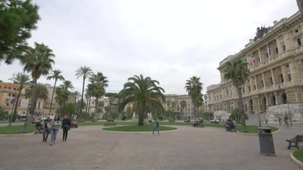 Palm Trees Park Rome — Stock Video