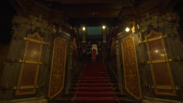 Menschen Gehen Die Treppe Schloss Peles Hinauf — Stockvideo