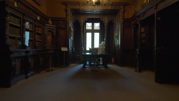 Het Bibliotheekvenster Peles Castle — Stockvideo