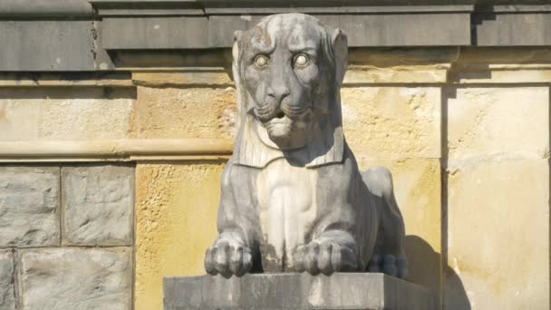 Άποψη Του Αγάλματος Λιονταριού — Αρχείο Βίντεο