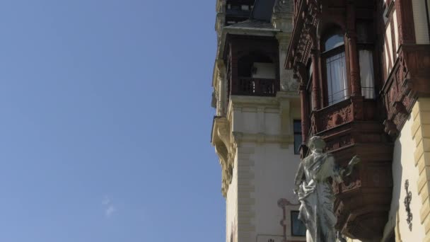 Estátua Lado Castelo Peles — Vídeo de Stock