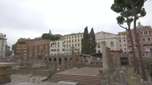 Rovine Largo Torre Argentina Roma — Video Stock