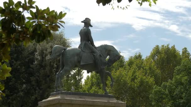 Die Reiterstatue Von Carlo Alberto — Stockvideo