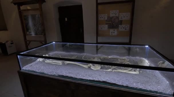 Ladys Tomb Museu Castelo Corvin — Vídeo de Stock