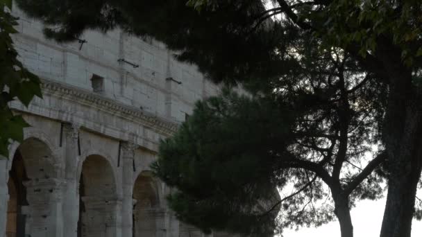 Incline Vista Para Baixo Coliseu Roma — Vídeo de Stock