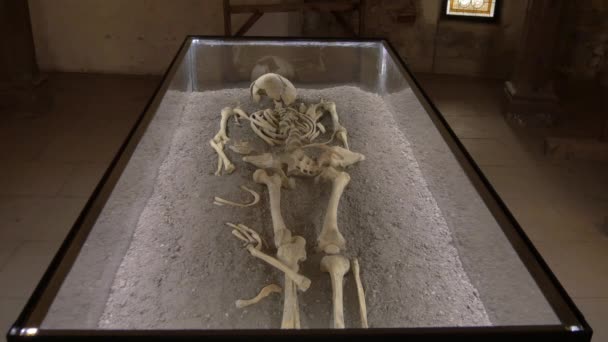 Ladys Tomb Museu Castelo Corvin — Vídeo de Stock