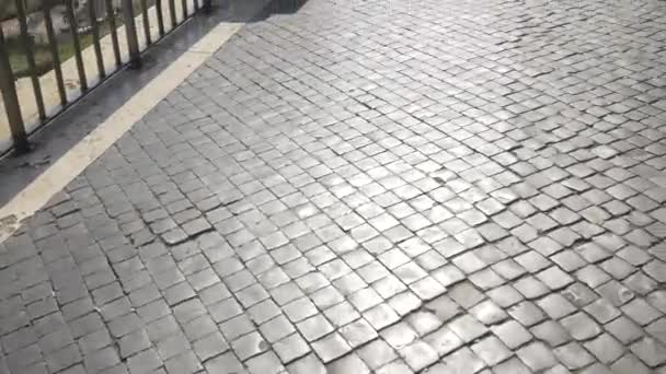 Cobblestone Stoep Bij Het Forum Romanum Rome — Stockvideo