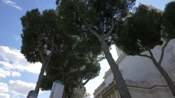 Bäume Neben Dem Altare Della Patria — Stockvideo
