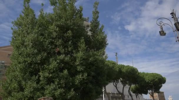 Altare Della Patria Detrás Árbol — Vídeos de Stock