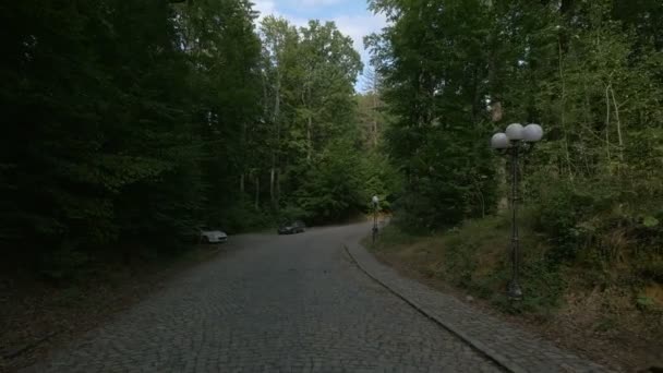Cars Parked Cobblestone Road Alongside Forest — Stock Video