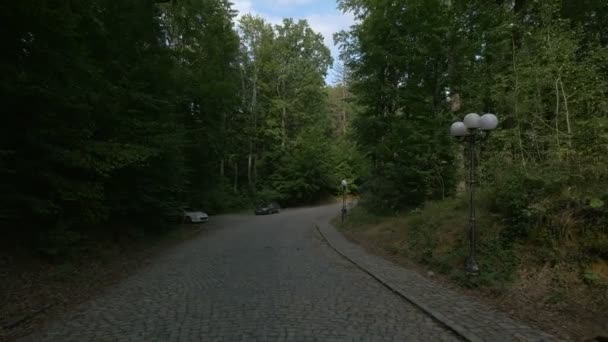 Bilar Parkerade Kullerstensväg Längs Skog — Stockvideo