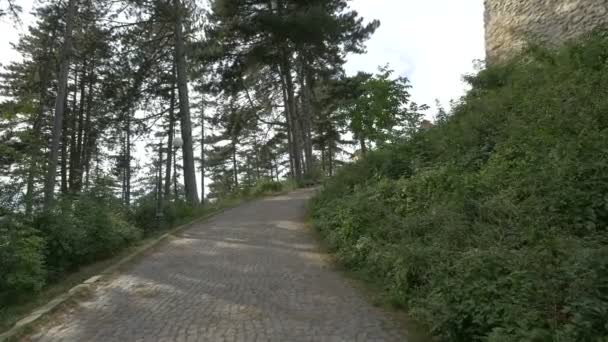 Pflastersteingasse Die Zur Festung Rasnov Führt — Stockvideo