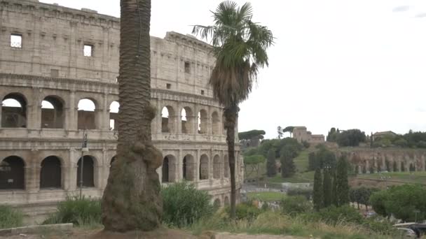 Antiguo Coliseo Roma Italia — Vídeos de Stock