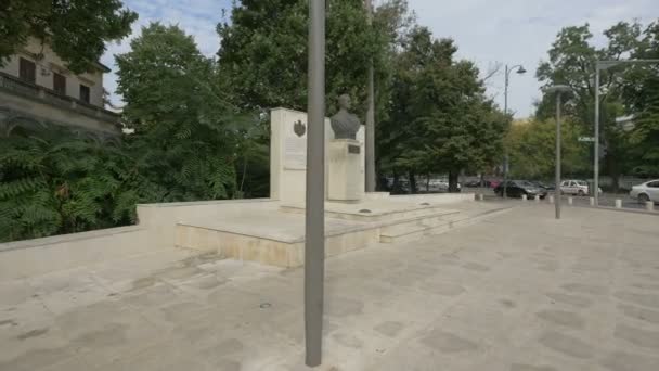 Monument König Mihai — Stockvideo